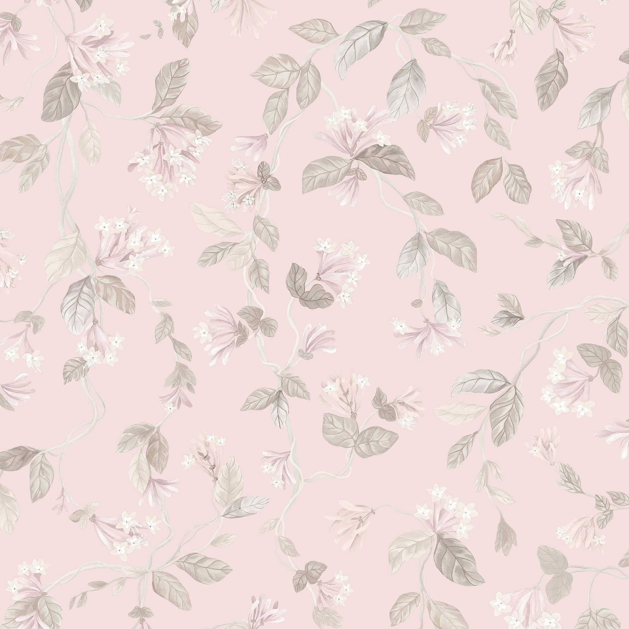 Flora Wallpaper 1243021 By Cole Son In Stone Rose Quartz